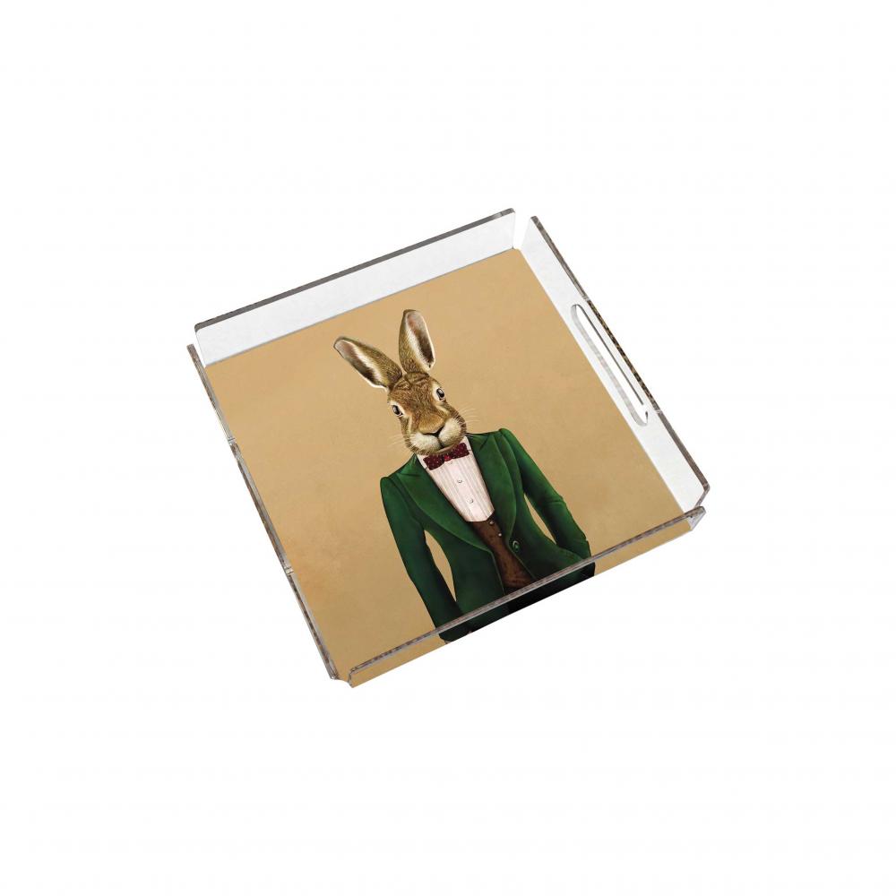 Bay Tavşan Pleksi Tepsi - PT2103 - 25x25cm